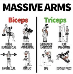 an exercise poster shows how to do the same exercises with dumbbells and biceps