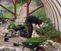 a man is tending to plants in a garden with a wheelbarrow full of dirt