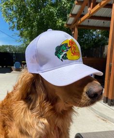 #dog #cutedog #cutepet #animal #animalcap #cap #baseballcap #truckerhat #fisherhat #hat #animallove #cuteanimal #fashion #bassproshop Golden Retriever Summer, Bass Pro Shops Hat, Yellow Camouflage, Bass Pro Shop Hat, School Giveaways, Puppy Golden Retriever, Topi Snapback, Bass Pro Shop, Hat Aesthetic