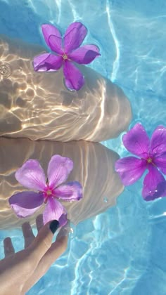 a person's hand reaching for some purple flowers in the blue water with sunlight shining on them