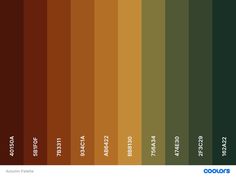 the color scheme for autumn is shown in shades of green, brown and oranges