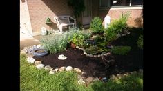 a garden with rocks and plants in front of a house