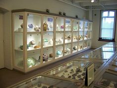 a display case filled with lots of different types of rocks and stones in glass cases