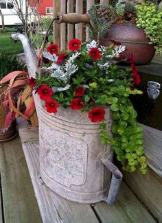 red flowers are growing in an old bucket on the back porch, along with other potted plants