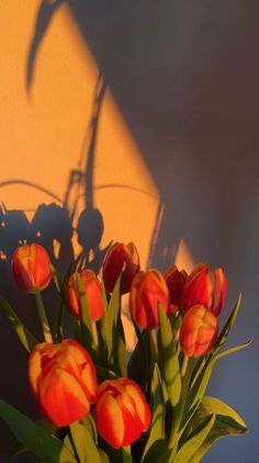 a vase filled with red and yellow tulips