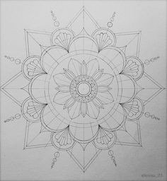 a drawing of a flower on paper with lines in the middle and circles around it