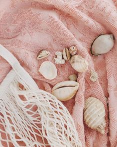 seashells and other sea shells on a pink towel