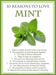 10 Reasons to love and use mint Mint Tea Benefits Health, Mint Benefits Health, Benefits Of Mint Leaves, Mint Uses, Self Wellness, Cleansing Herbs, Food Health Benefits