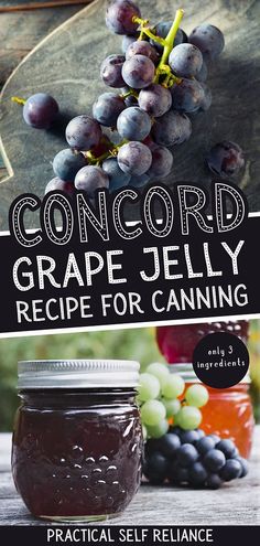 the cover of concord grape jelly recipe for canning