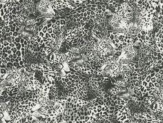 Leopardo Incognito Wallpaper in Alessandra Leopard Print Wallpaper, Wallpaper Textured, Embossed Wallpaper, Strong Personality, 1% Wallpaper, The Leopard, Dolce E Gabbana, Burke Decor, Print Wallpaper