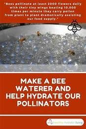 an advertisement for bee water and help hydrate our pollinators