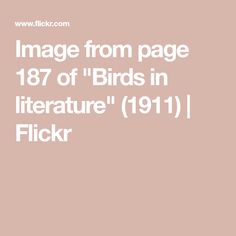 Image from page 187 of "Birds in literature" (1911) | Flickr No Passion, Holy Holy, American Museum Of Natural History, Nothing Personal, Museum Of Natural History, Vintage Bird, Message Of Hope, Good Cheer, Literature