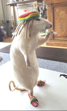 a white rat with dreadlocks on it's head standing on its hind legs