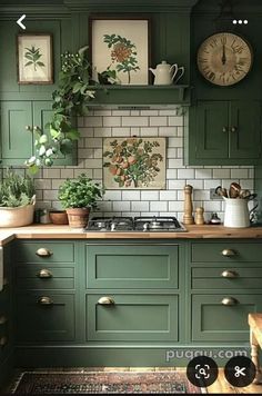 a kitchen with green cabinets and plants on the counter