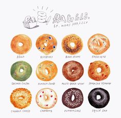 a drawing of different types of doughnuts on a white background with the words bagel written below them