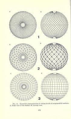 an old book with four different types of spheres