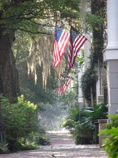 two american flags are flying in the wind on a street lined with trees and bushes