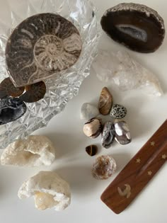 October Core, Aesthetic Trinkets, Brown Aesthetic Dark, Clutter Aesthetic, Texas Wallpaper, Pinterest Painting, College Collage, Aquarium Date, September Aesthetic