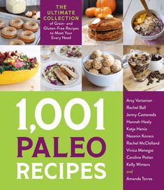 the ultimate guide to 1001 paleo recipes