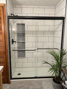 a bathroom with a shower, toilet and plant on the floor in front of it