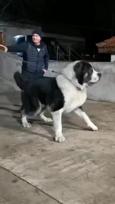 a black and white dog standing next to a man