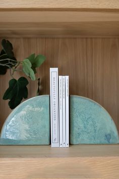 two books are sitting on a shelf next to a potted plant and bookend