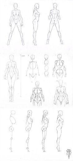 various poses and body shapes drawn in pencil on paper, including the torsos and arms