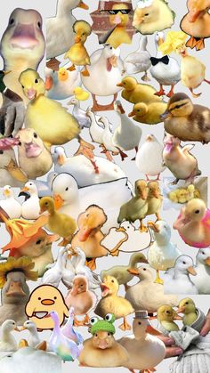 an image of many different ducks in the air