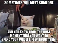 a white cat sitting at a table with food on it and caption that reads sometimes you meet someone and you know from the first moment that you want to spend your whole life without them