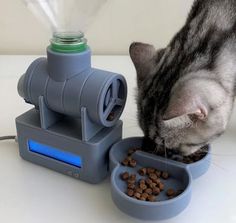 a cat eating food out of a bowl next to a water dispenser