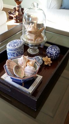 a tray with sea shells and other items on it