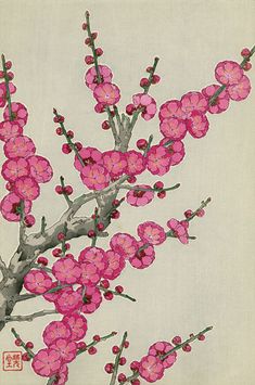 a painting of pink flowers on a white background with chinese writing in the bottom right corner