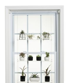 a white shelf with plants on top of it