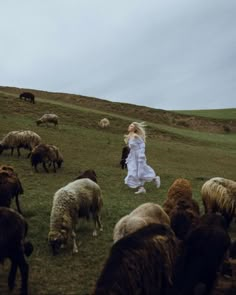 a woman in a white dress is herding sheep