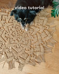 a black dog laying on top of a wooden floor