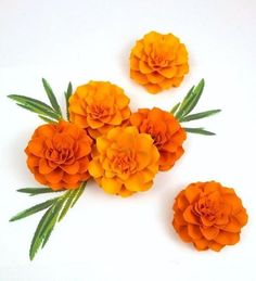 five orange flowers arranged on top of each other