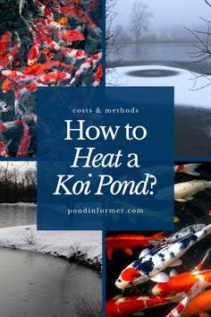 Article about how to heat a koi pond, exploring methods, costs, and tips to maintain a warm and healthy environment for your koi during winter.

Koi pond heating methods, Pond heater costs, Winter pond care