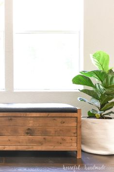 a wooden bench sitting next to a potted plant on top of a hard wood floor