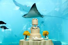 a cake sitting on top of a table in front of an aquarium