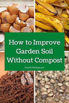 how to improve garden soil without compost