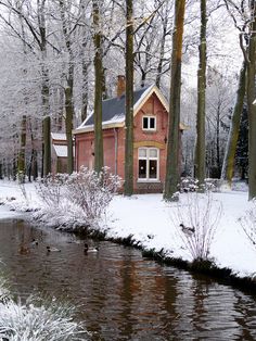 an image of a house in the woods with snow on the ground and water running through it