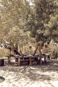 an outdoor table and chairs under a large tree in the middle of a dirt field