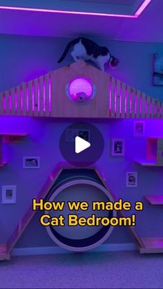 a cat sitting on top of a wooden bed in a room with purple lighting and a black and white cat