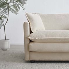 a white couch sitting next to a potted plant on top of a carpeted floor