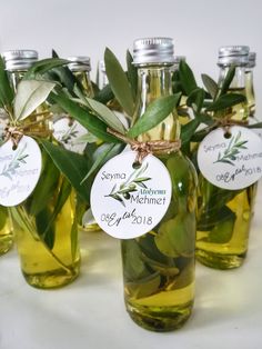 six bottles filled with olive oil and green leaves