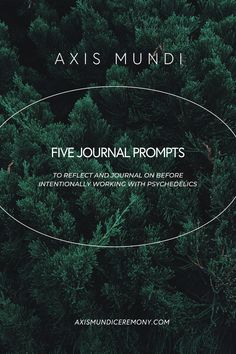 journal prompts for self healing and self evolution for mesodosing, microdosing, or working with psychedelics Take Time, Journal Prompts, To Work