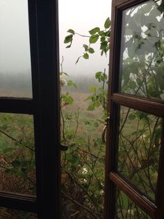 an open window looking out onto a grassy field and trees in the foggy day