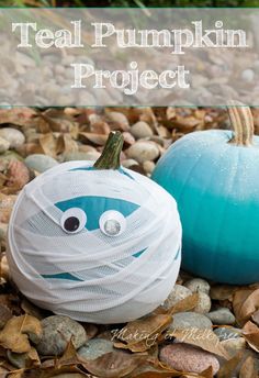 two pumpkins sitting on top of rocks with the words teal pumpkin project written above them