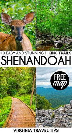 the hiking trails in shenandoah, virginia travel tips