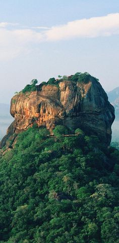 a large rock with trees on top of it